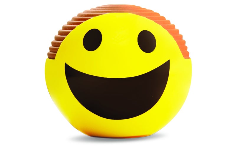 Chia Pet Emoji Smiley with Seed Pack, Decorative Pottery Planter, Easy to Do and Fun to Grow, Novelty Gift, Perfect for Any Occasion - Image 2